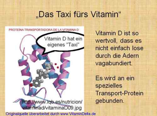 Folie049 Vitamin D Taxi
